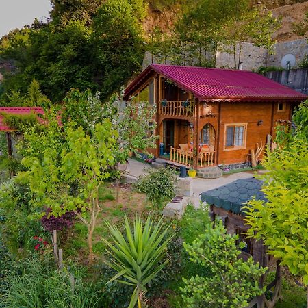 Апартаменты Dere Evi Ризе Экстерьер фото